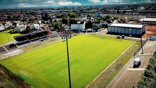 应对这些失 应对这些失