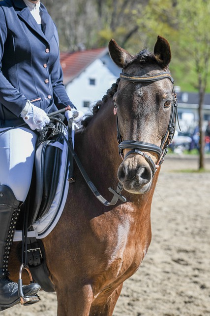 大连英博将 大连英博将