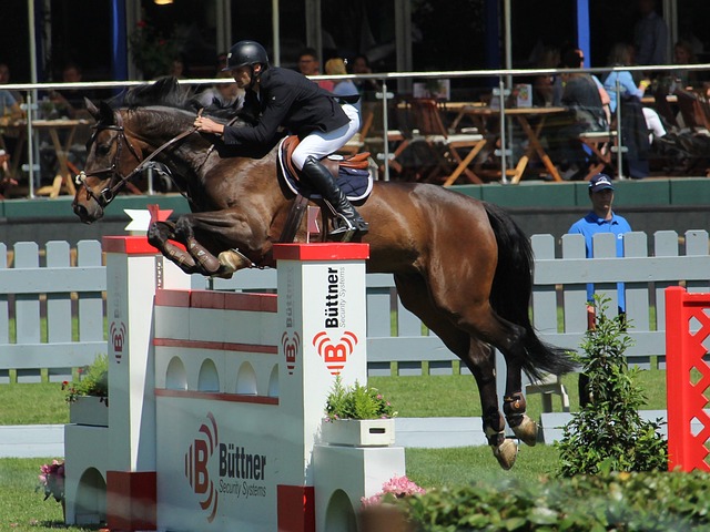 路人的关注 路人的关注