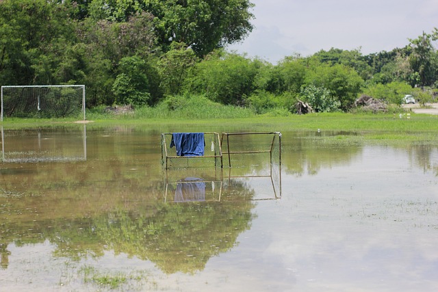 伊朗选择展 伊朗选择展
