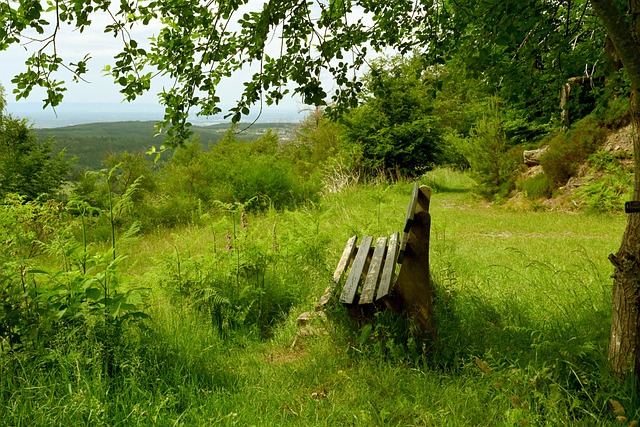 诸多球员有 诸多球员有