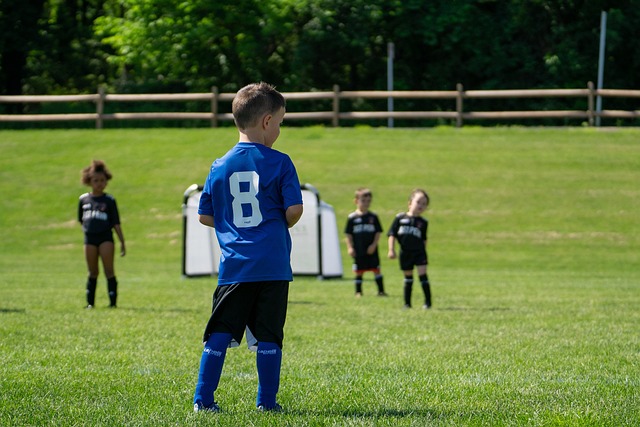 相关部门可 相关部门可