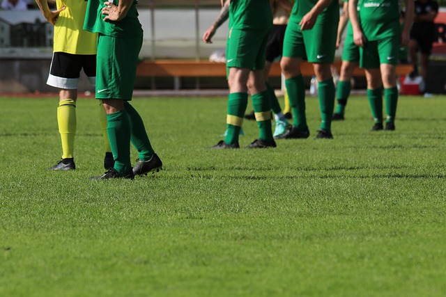 的重要保障 的重要保障