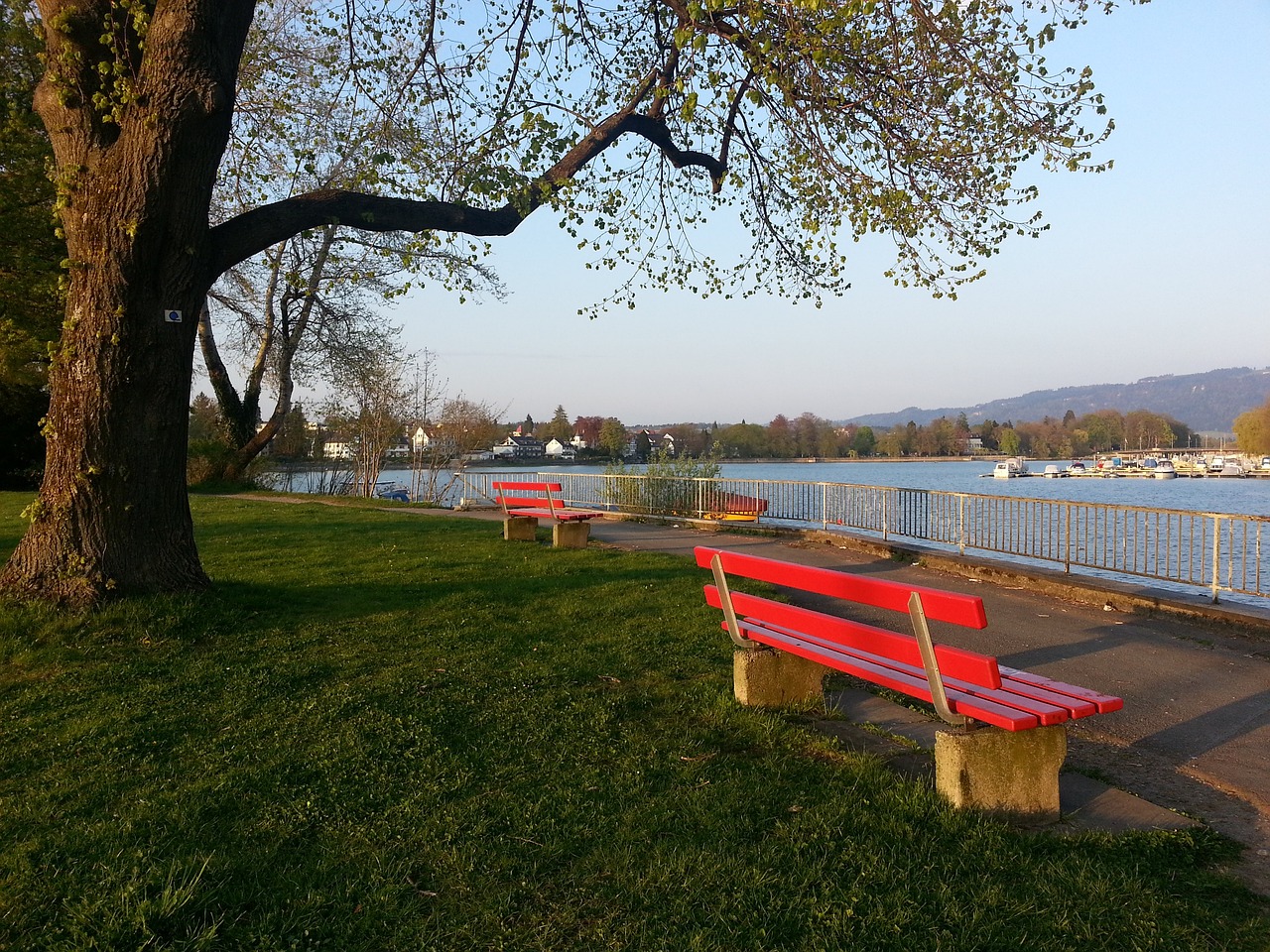 开的球员 开的球员