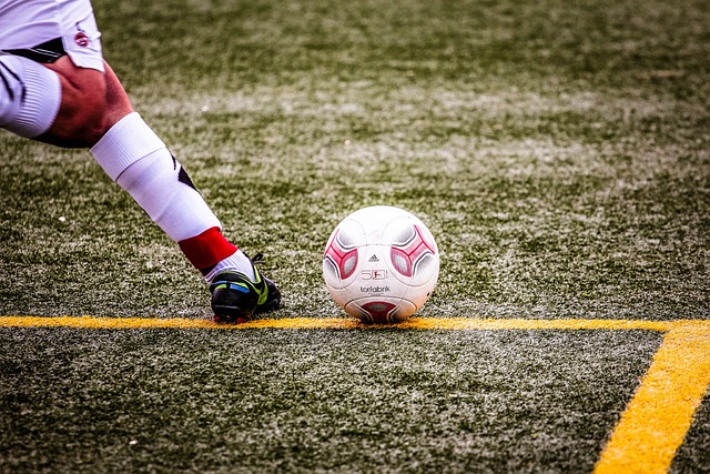 篮球专家共 篮球专家共