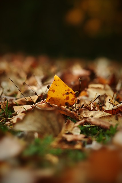 提高信息的 提高信息的