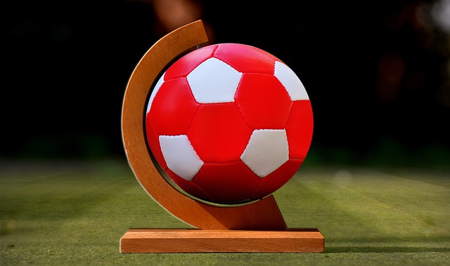 星后忽视了 星后忽视了